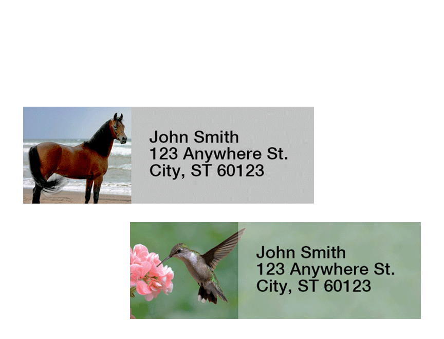 Address Labels