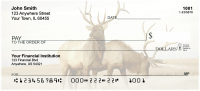 American Wildlife Personal Checks | ANI-08