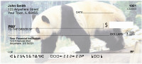 Panda Bears Personal Checks | ANI-11