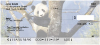 Panda Bears Personal Checks | ANI-11