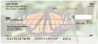 Monarch Butterflies Personal Checks | ANI-38