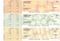 Fruit Payroll Designer Business Checks | BU3-CDS03-PAY