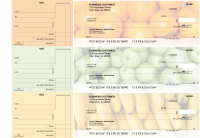 Fruit Standard Counter Signature Business Checks | BU3-CDS03-SCS