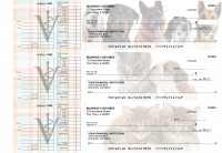 Veterinarian Multi Purpose Designer Business Checks | BU3-CDS14-DEP