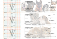 Veterinarian Standard Counter Signature Business Checks | BU3-CDS14-SCS