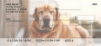 Custom Photo Checks | CUS-01