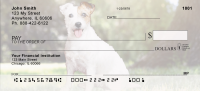 Jack Russell Terriers Personal Checks | DOG-08