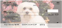 Maltese Personal Checks | DOG-103