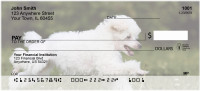 Mini Poodle Personal Checks | DOG-104