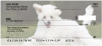 Mini Poodle Personal Checks | DOG-104