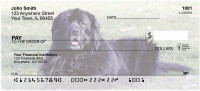 Newfoundland Personal Checks | DOG-105