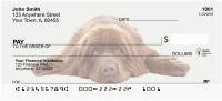 Newfoundland Personal Checks | DOG-105