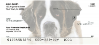 Saint Bernard Personal Checks | DOG-108