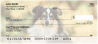 Shetland Sheepdog Personal Checks | DOG-109
