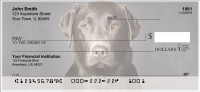 Black Labradors Personal Checks | DOG-11