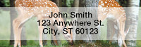 Baby Deer Rectangle Address Labels | LRANI-18