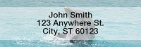 Dolphins Rectangle Address Labels | LRANI-19