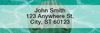 Manatees Narrow Address Labels by David Dunleavy | LRDUN-04