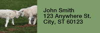 Barnyard Animals Narrow Address Labels | LRRANI-04