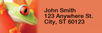 Frogs Narrow Address Labels | LRRANI-09