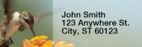 Hummingbirds Rectangle Address Labels | LRRANI-25