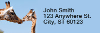Giraffes Rectangle Address Labels | LRRANI-27