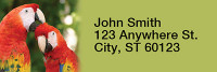 Parrots Rectangle Address Labels | LRRANI-41