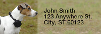 Jack Russell Terriers Narrow Address Labels | LRRDOG-08