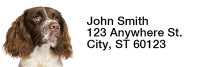English Spaniels Narrow Address Labels | LRRDOG-101