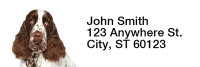 English Spaniels Narrow Address Labels | LRRDOG-101