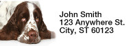English Spaniels Narrow Address Labels | LRRDOG-101