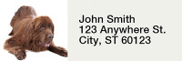 Newfoundland Narrow Address Labels | LRRDOG-105