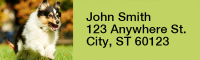 Shetland Sheepdog Narrow Address Labels | LRRDOG-109