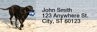 Black Labradors Narrow Address Labels | LRRDOG-11
