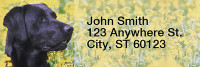 Black Labradors Narrow Address Labels | LRRDOG-11