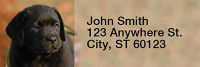 Black Labradors Narrow Address Labels | LRRDOG-11