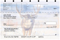 Big Horned Buck Deer Top Stub Personal Checks | TSANK-71