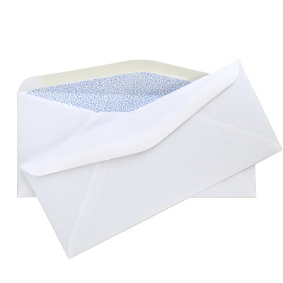 #9 Security Envelope, 3 7/8'' x 8 7/8'' | ENV-03