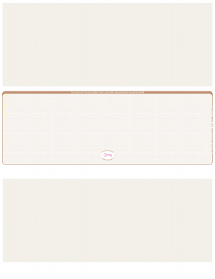 Tan Safety Blank High Security Middle Laser Checks | LMCHS-BLA-OS