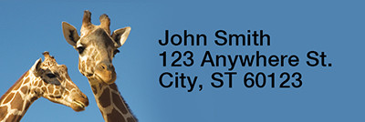 Giraffes Rectangle Address Labels | LRRANI-27