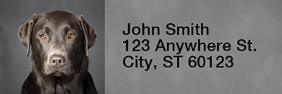 Black Labradors Narrow Address Labels | LRRDOG-11