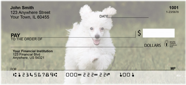 Mini Poodle Personal Checks | DOG-104