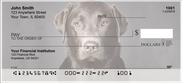 Black Labradors Personal Checks | DOG-11