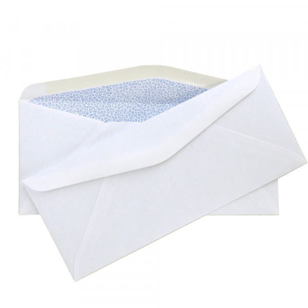 #9 Security Envelope, 3 7/8'' x 8 7/8'' | ENV-03