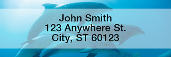 Dolphins Rectangle Address Labels | LRANI-19